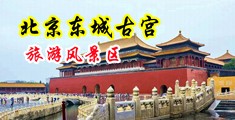 男的操女生的视频免费看中国北京-东城古宫旅游风景区